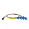 SM 12 Fiber SC FTTH Fiber Optic Pigtail 3 M MPO / MTP