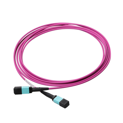 SM MM Fan Out MTP MPO Fiber Patch Cable 12 / 24 Fiber