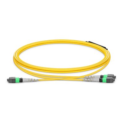 Качество MTP Breakout Cable с 8° APC Endface и G.657.A1 Сгибание нечувствительных волокон для ссылок на центры обработки данных с рейтингом пожарной безопасности OFNP Фабрика